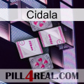 Cidala 33